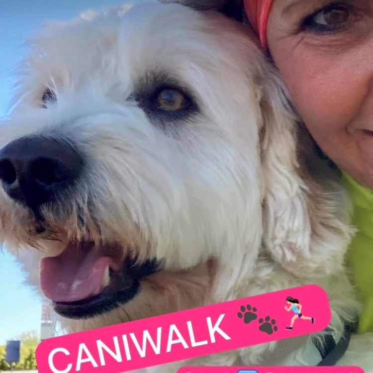 Caniwalk